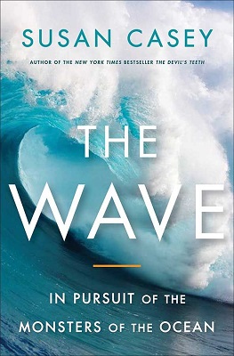 the wave book