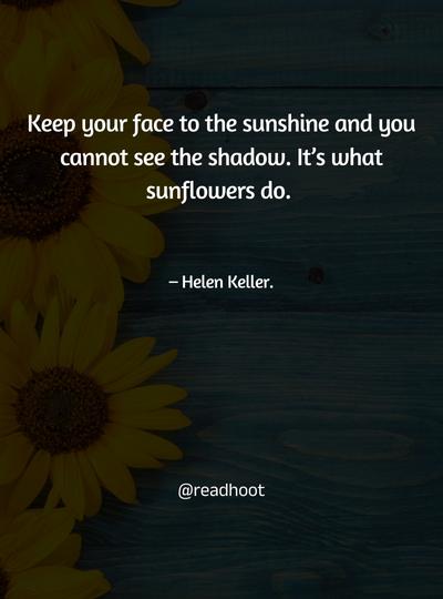 sunflower quotes