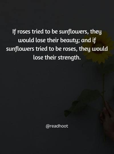 sunflower quotes 