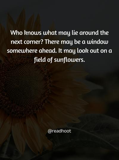 sunflower quotes