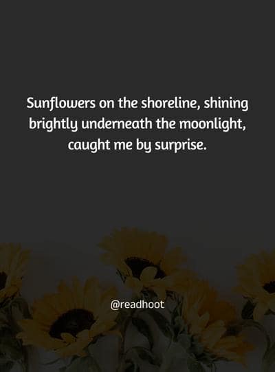 sunflower quotes