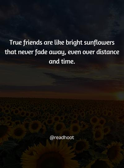 sunflower quotes