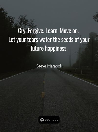 Steve Maraboli Quotes on never give up