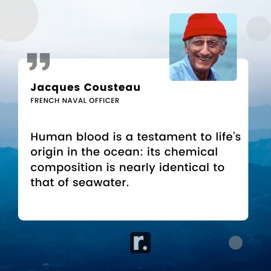 Jacques Cousteau Quotes
