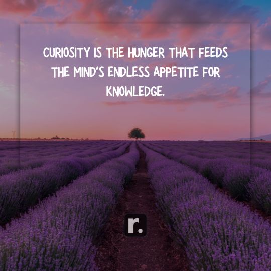 Curiosity Quotes