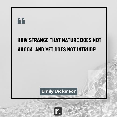 Emily Dickinson quotes